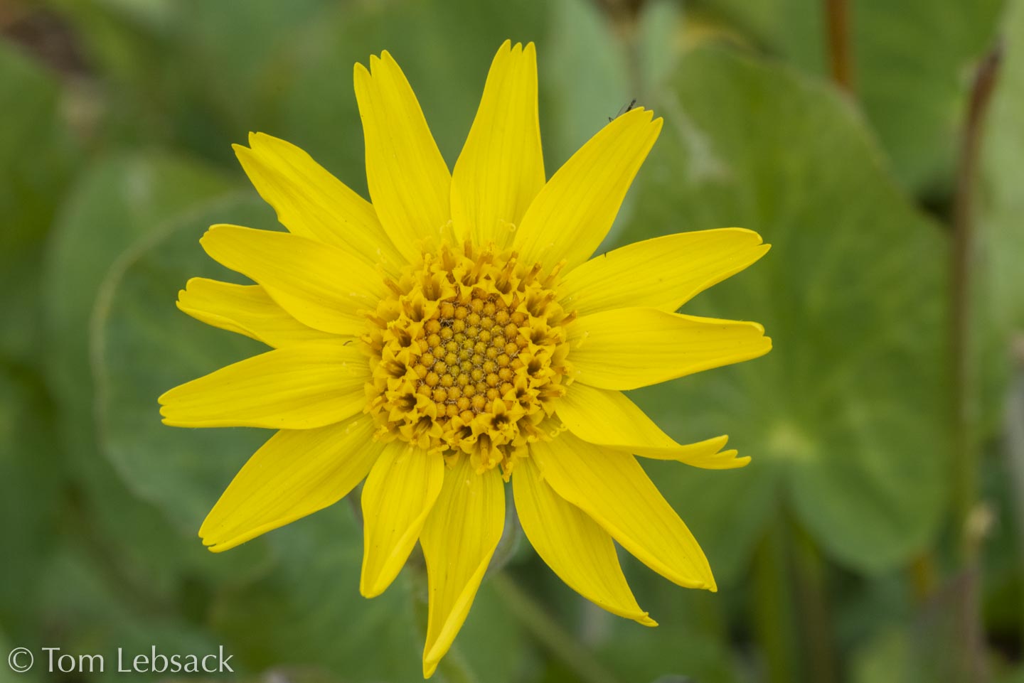 2018 04-17%2013-18-07%20%28A,Radius8,Smoothing4%2932-2-Edit