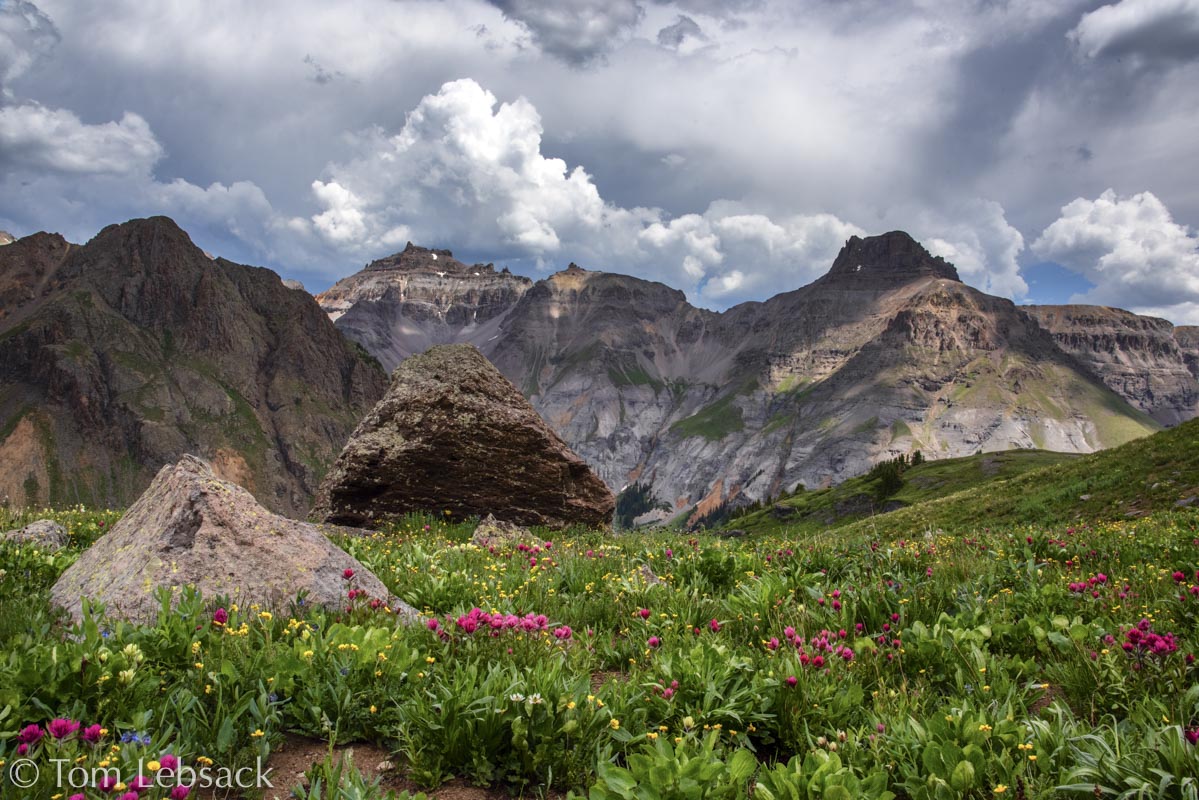 D81_7492 Edit-2-Edit