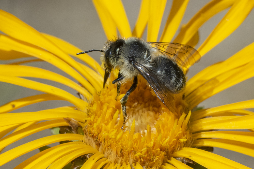 2019 04-21%2019-40-39%20%28A,Radius8,Smoothing4%2931-2